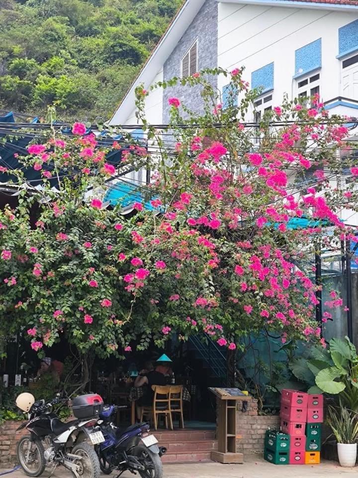 Phong Nha Jasmine Hostel & Roof Top Bar Εξωτερικό φωτογραφία